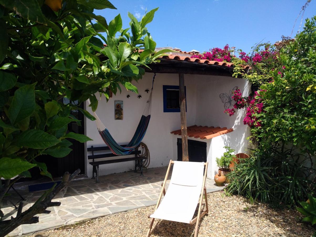 Villa Casa da Tia Luísa Montoito Exterior foto