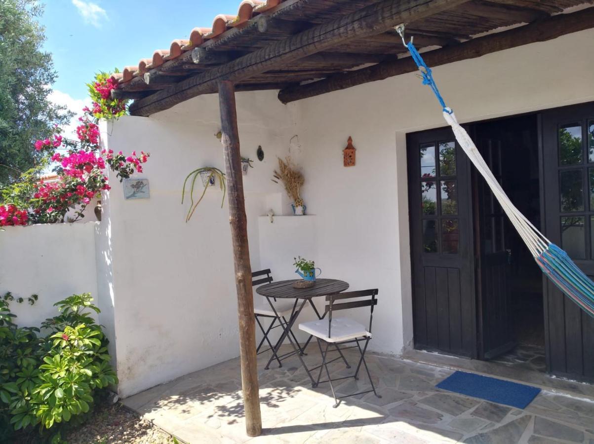 Villa Casa da Tia Luísa Montoito Exterior foto